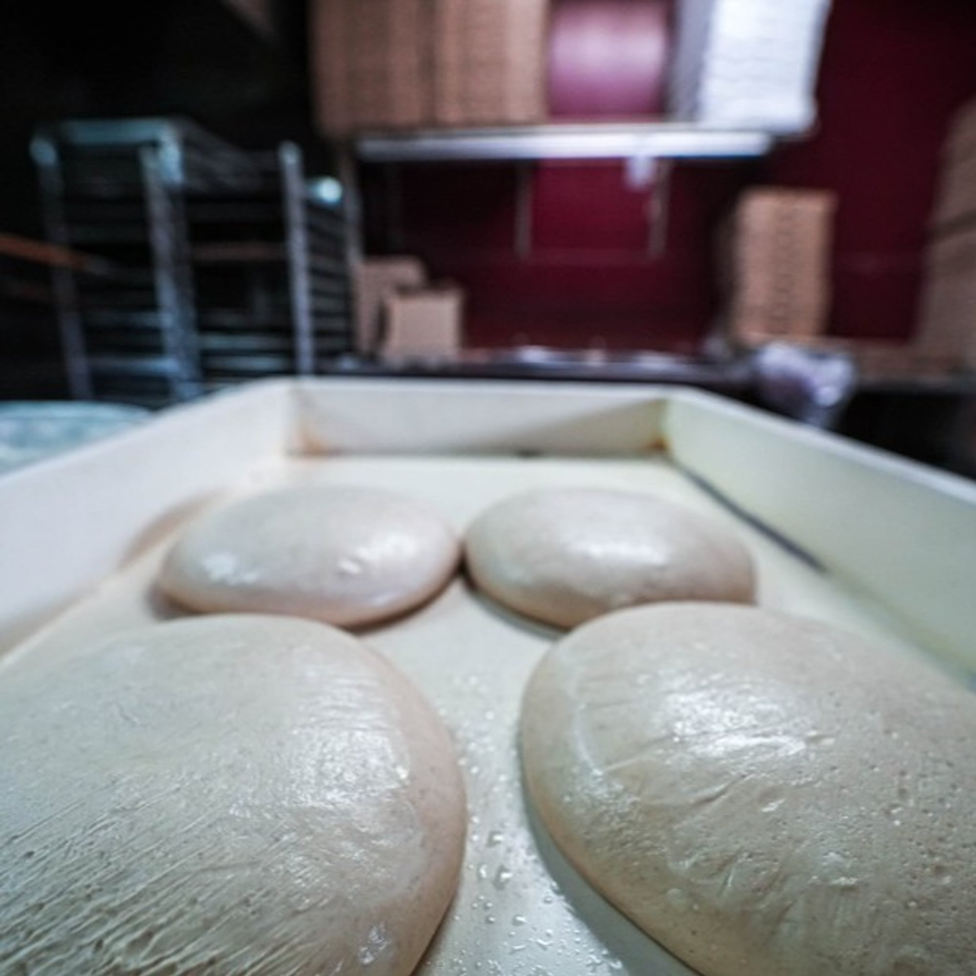 Pizza Dough