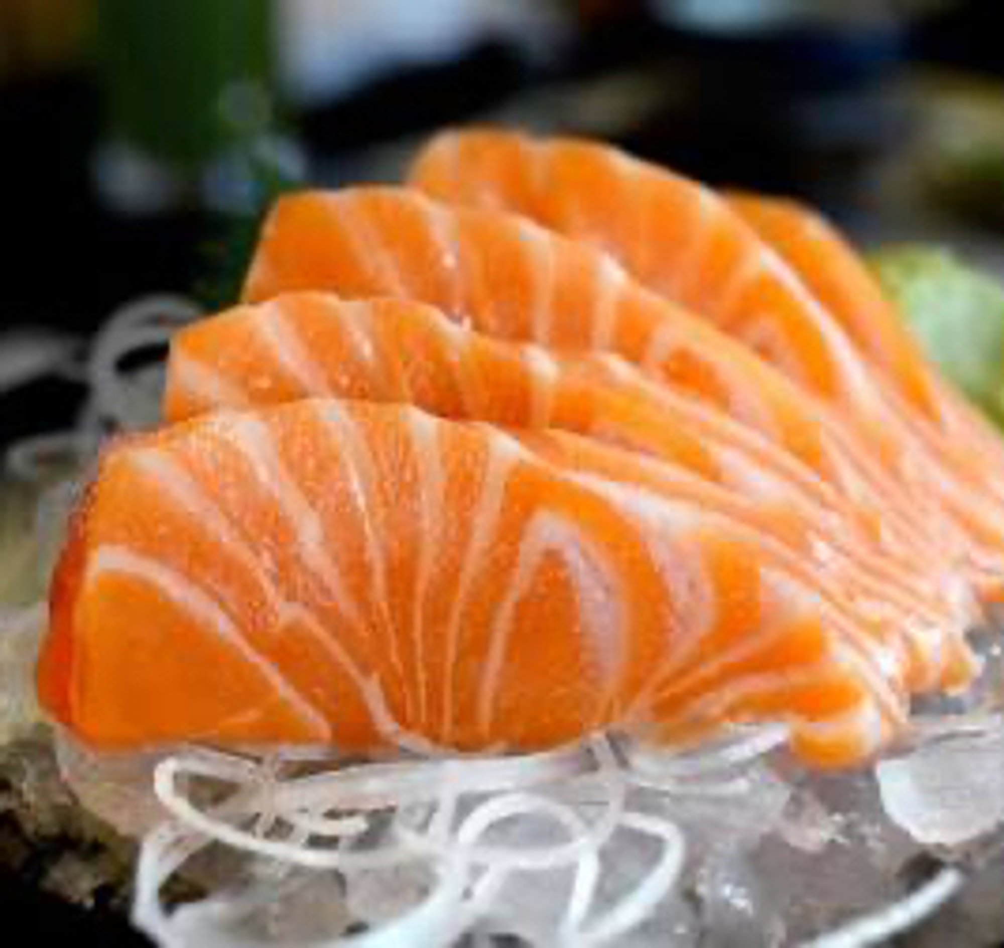 Salmon Sashimi