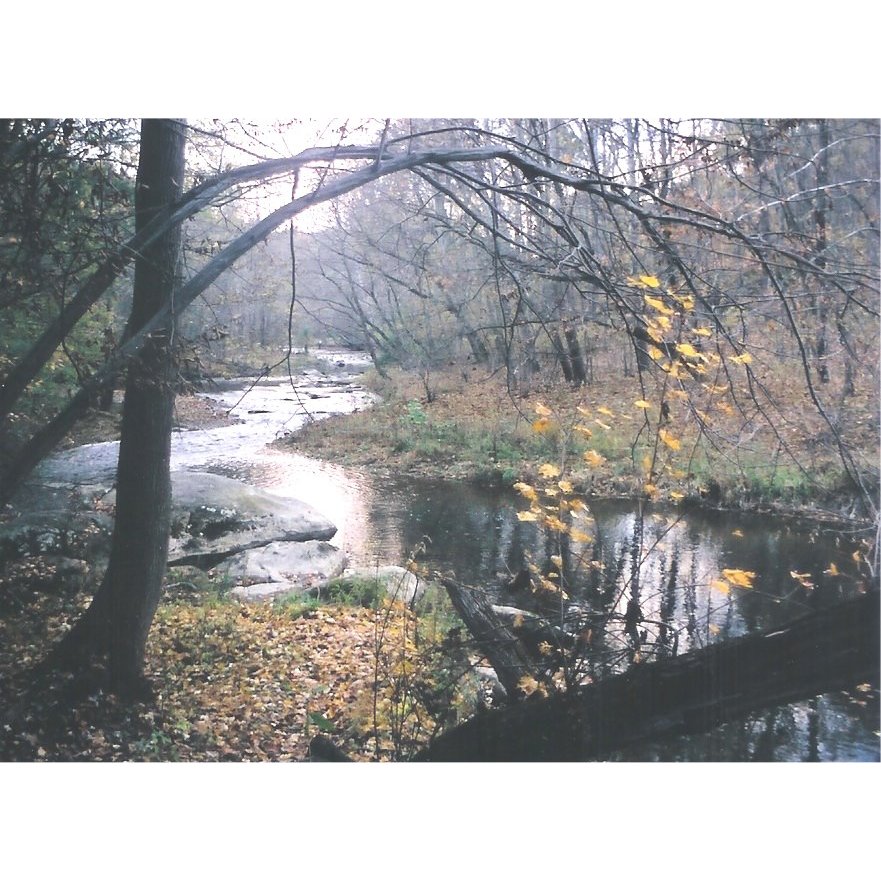 Landis Scapes Inc Logo