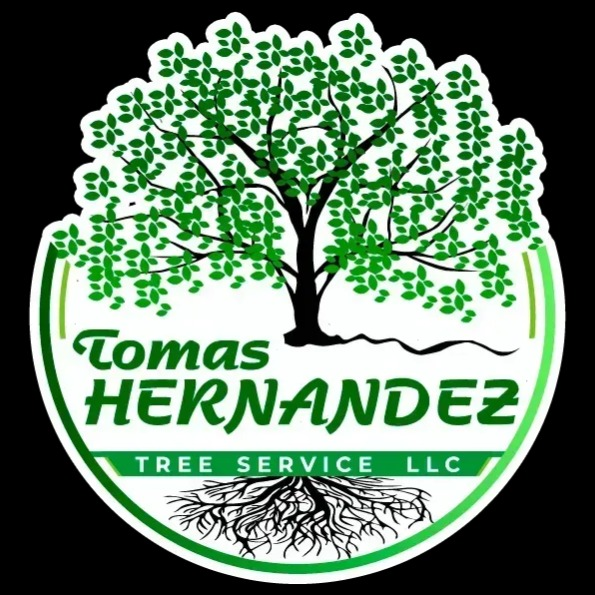Tomas Hernandez Tree Services LLC Logo