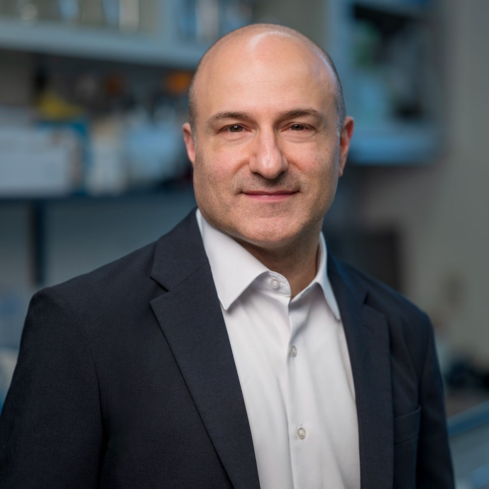 Jonathan Peled, MD, PhD - MSK Bone Marrow Transplant Specialist & Cellular Therapist