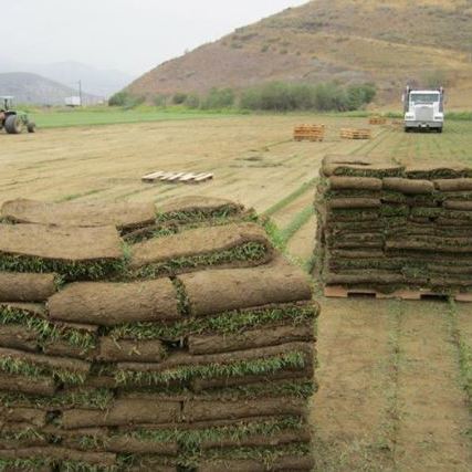 Valley Sod Farms Inc Photo