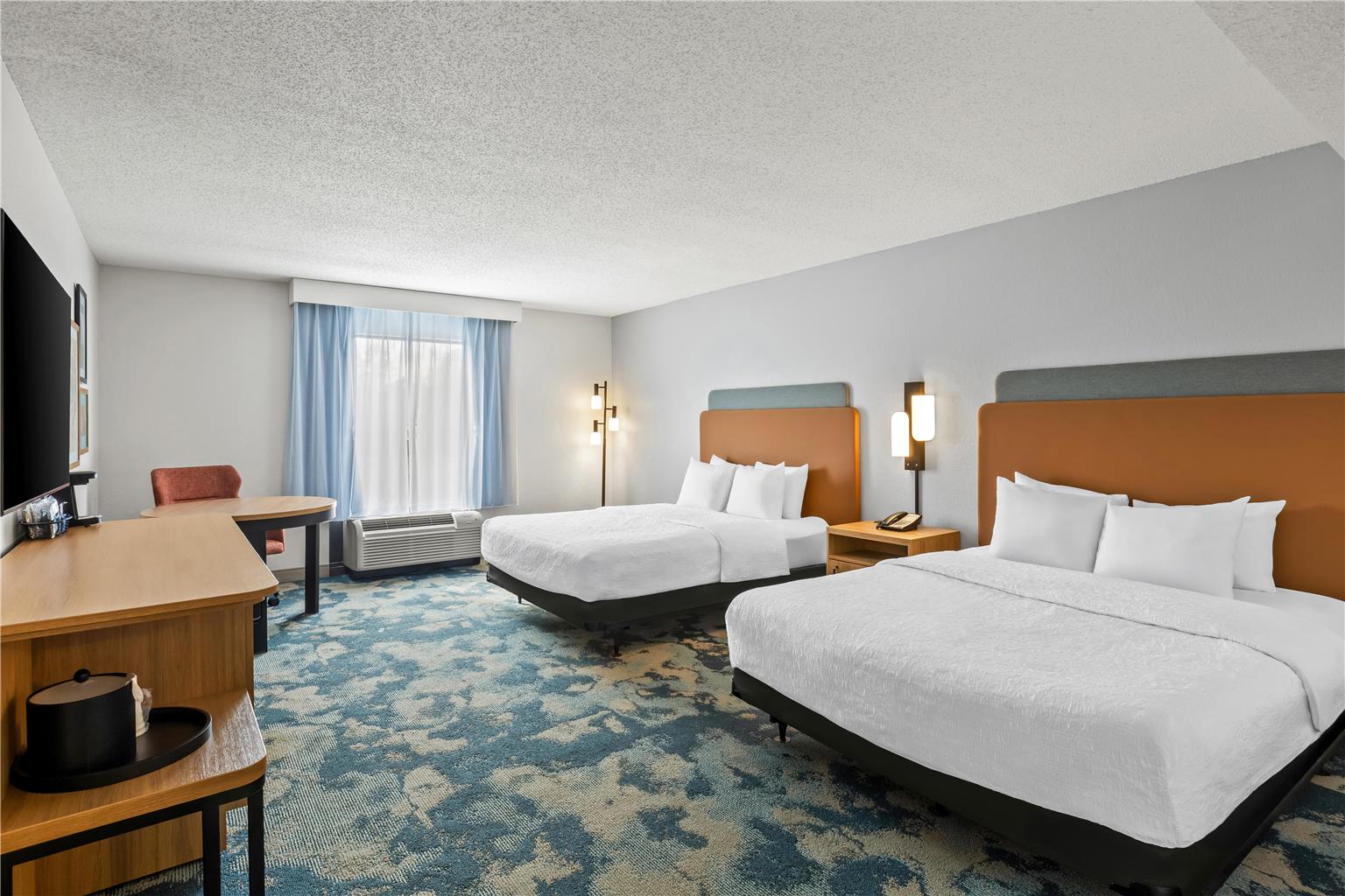 Hampton Inn Carrollton Image