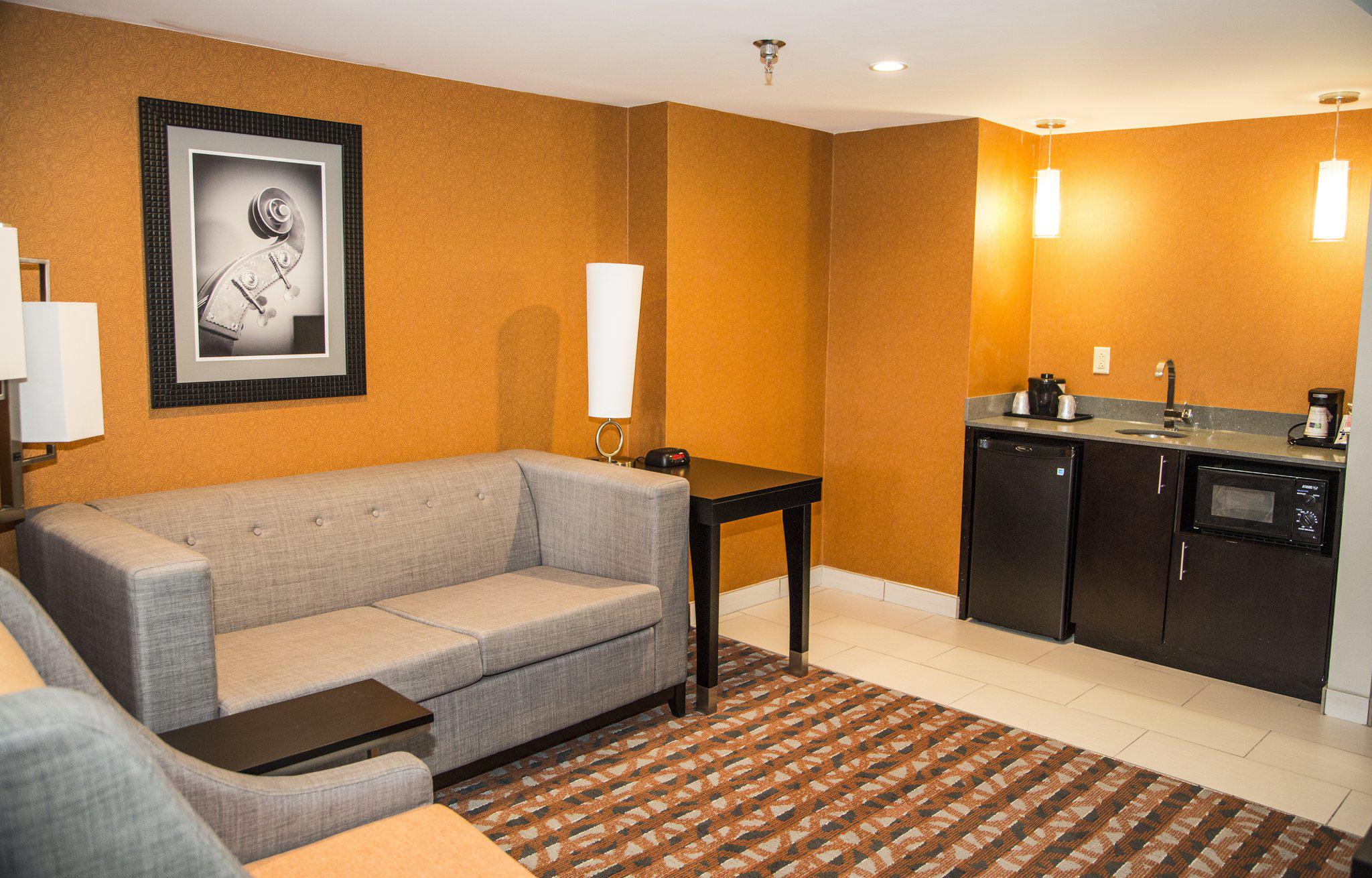 Holiday Inn Express & Suites Nashville Southeast - Antioch Photo