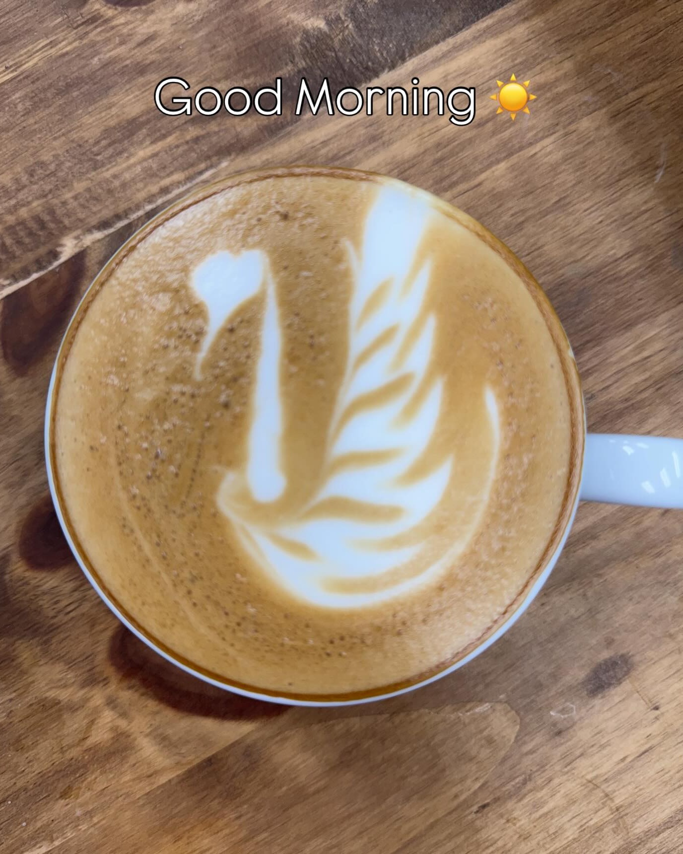 The Wild Mug Coffee Bar Image