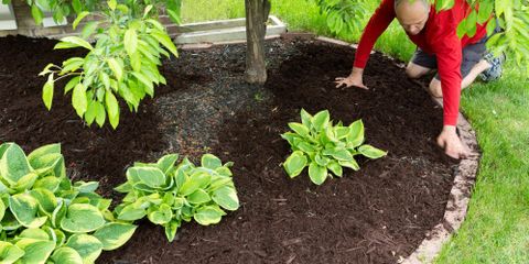 5 Tips for Mulching Your Landscaping