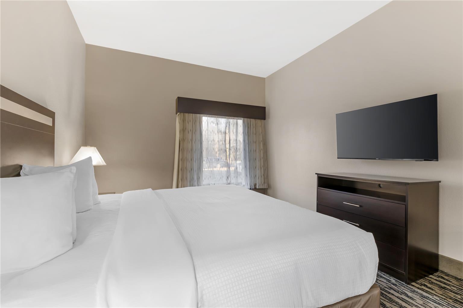 Best Western Plus McDonough Inn & Suites Image