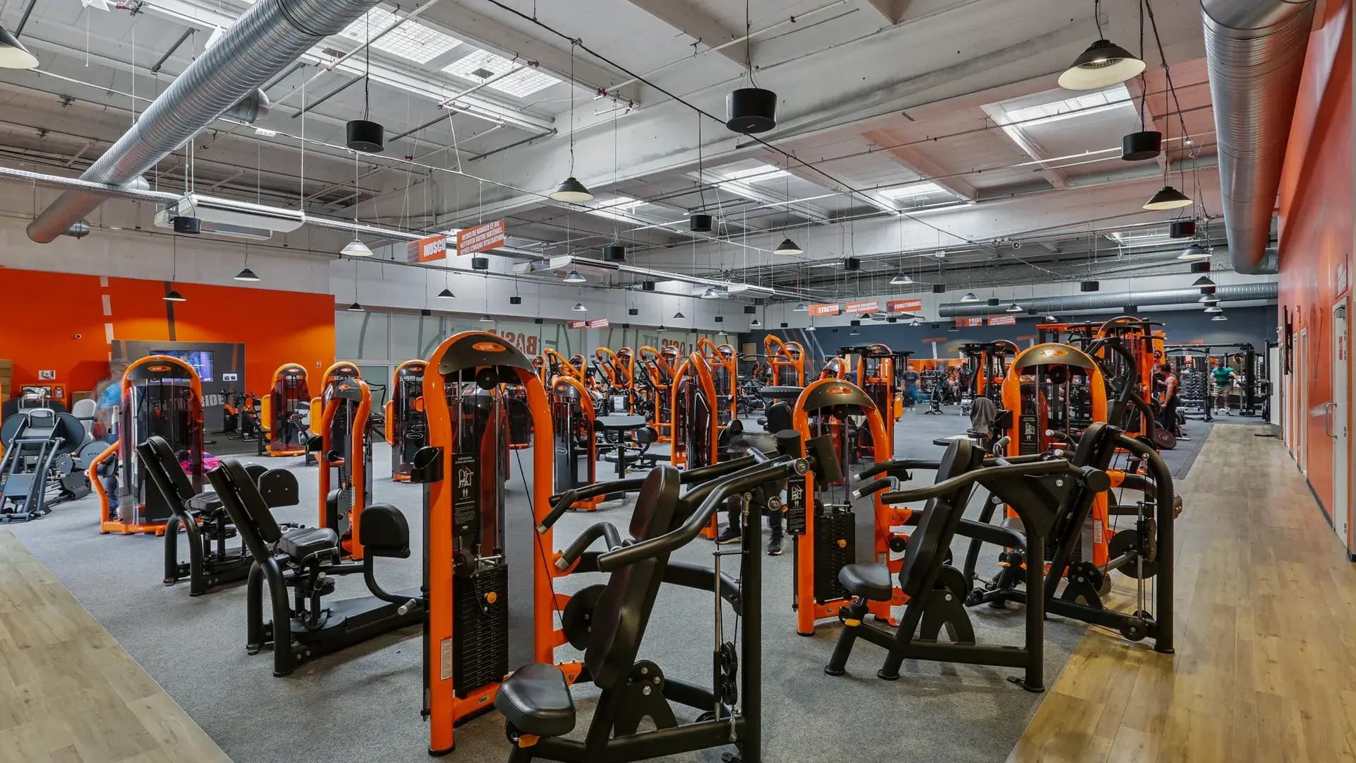 Miniature de la galerie