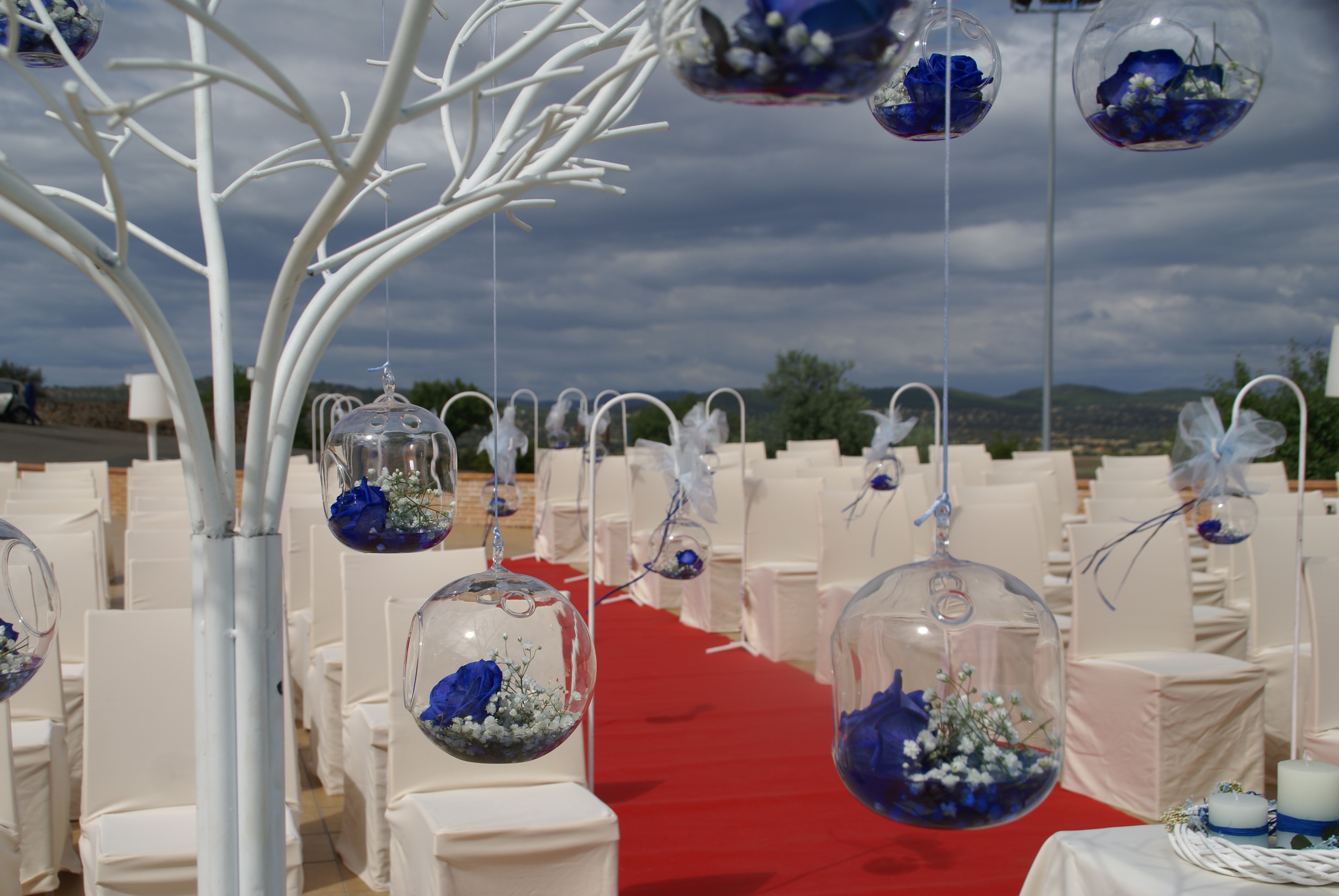 Images Floristería Mayoral Almadén