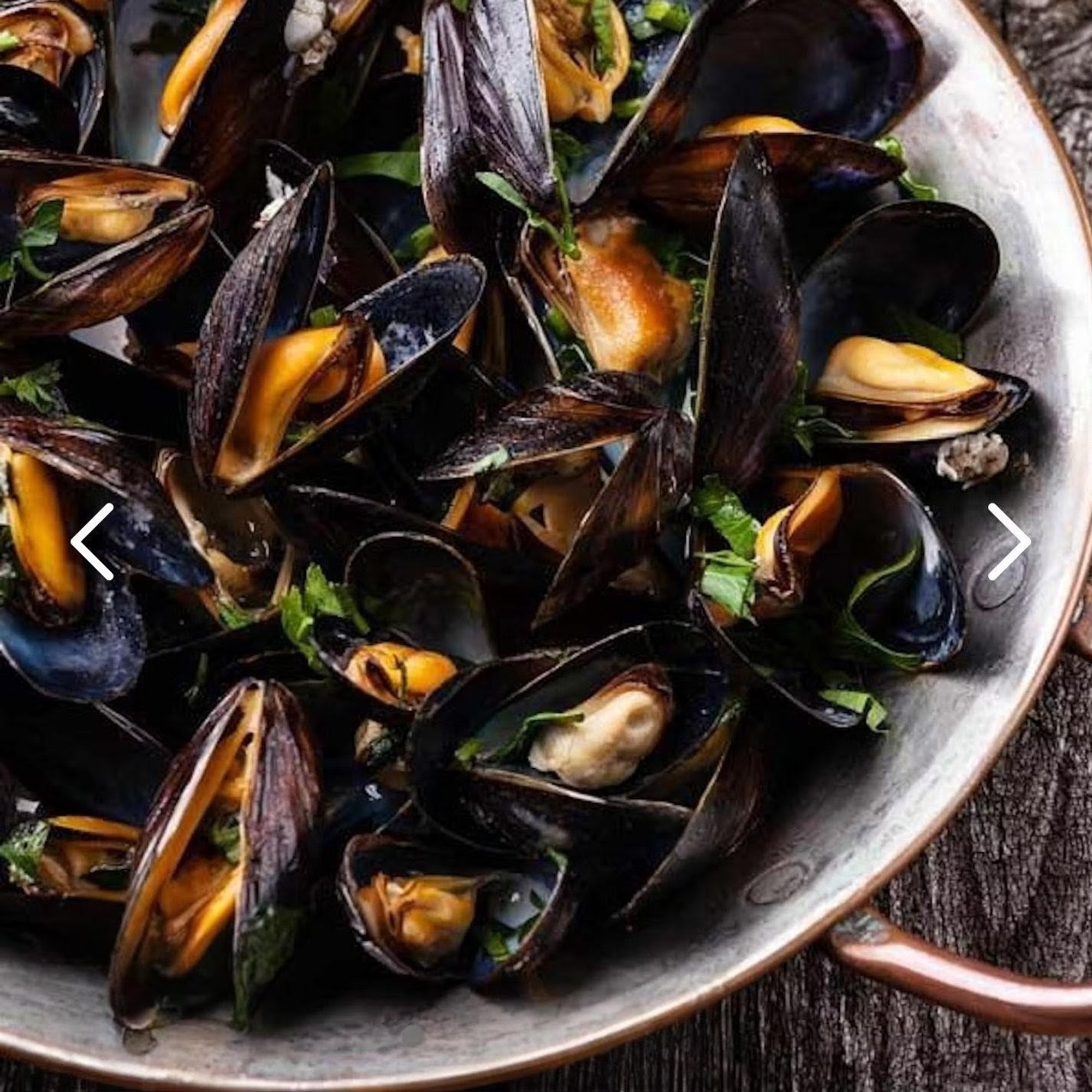Mydia - Mussels