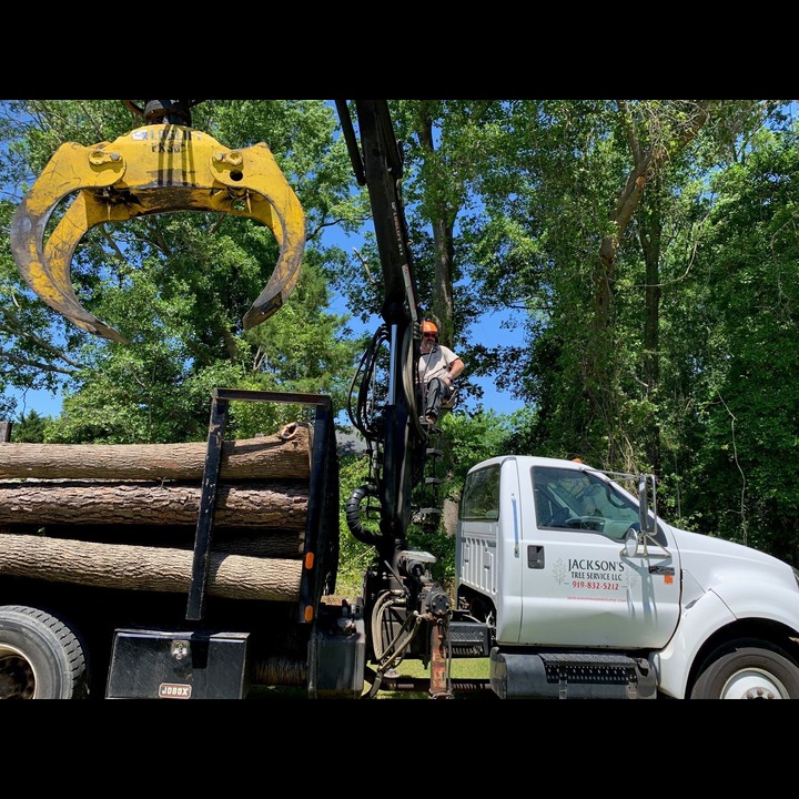 Jackson’s Tree Service, LLC Image