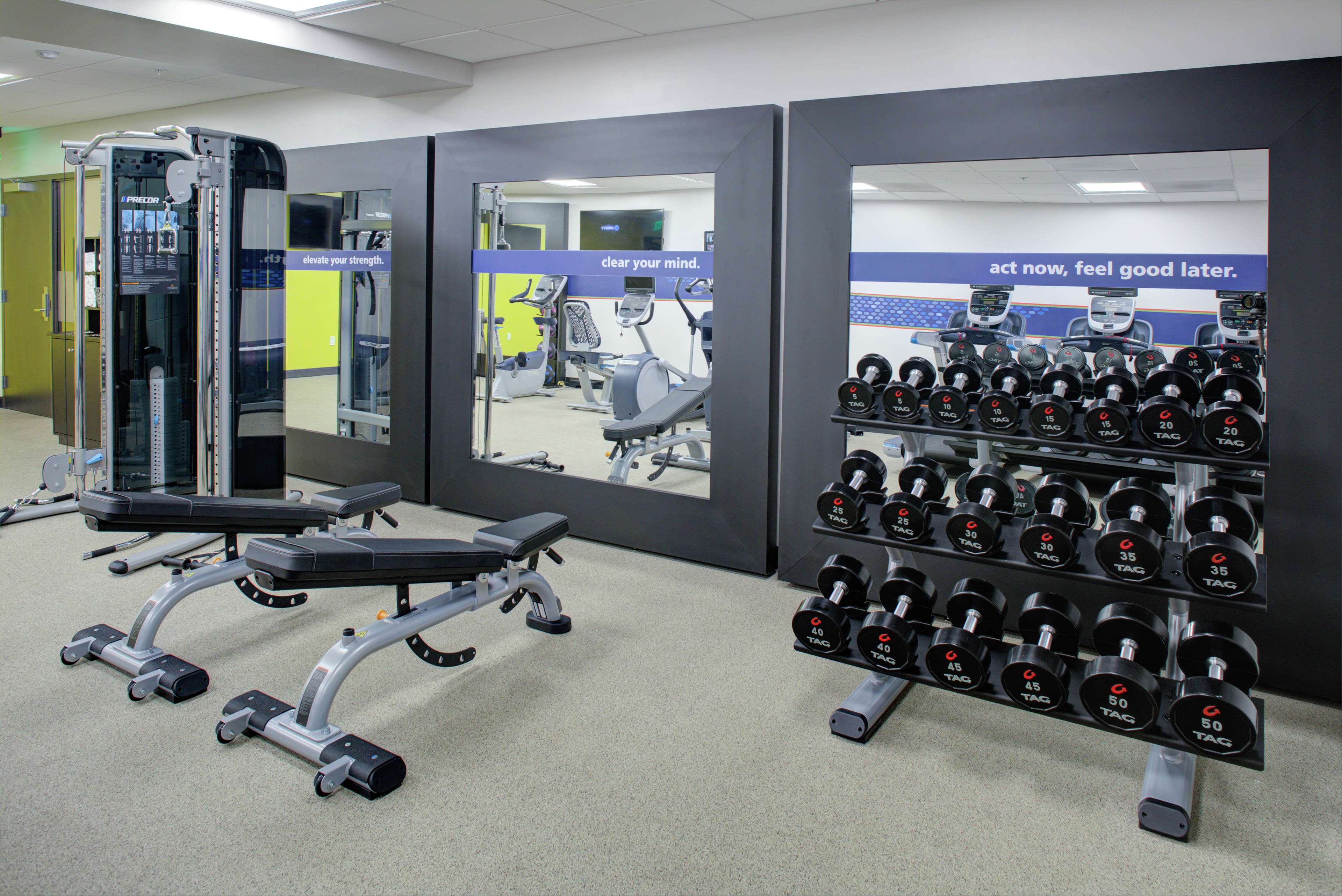 Health club  fitness center  gym