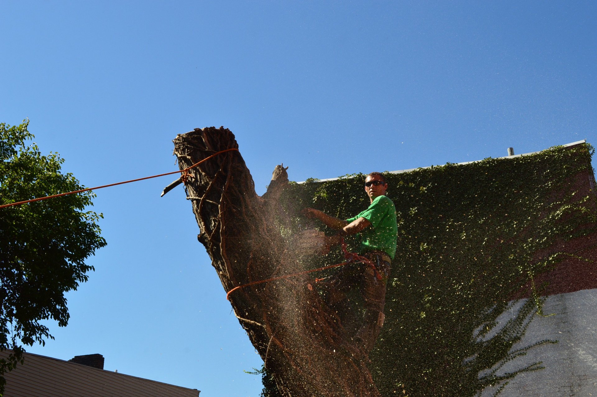 Peru's Tree Service Inc. Photo