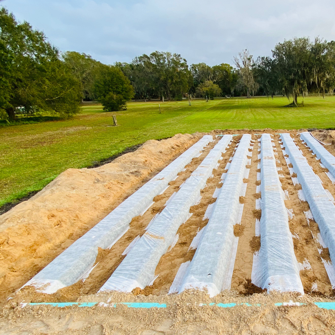 Flamingo Septic and Pumping Image