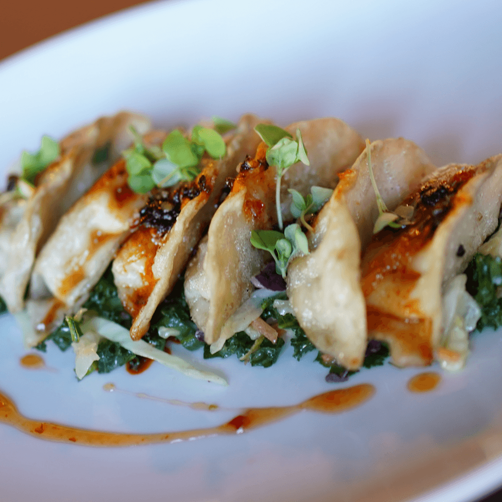 CHICKEN POTSTICKERS