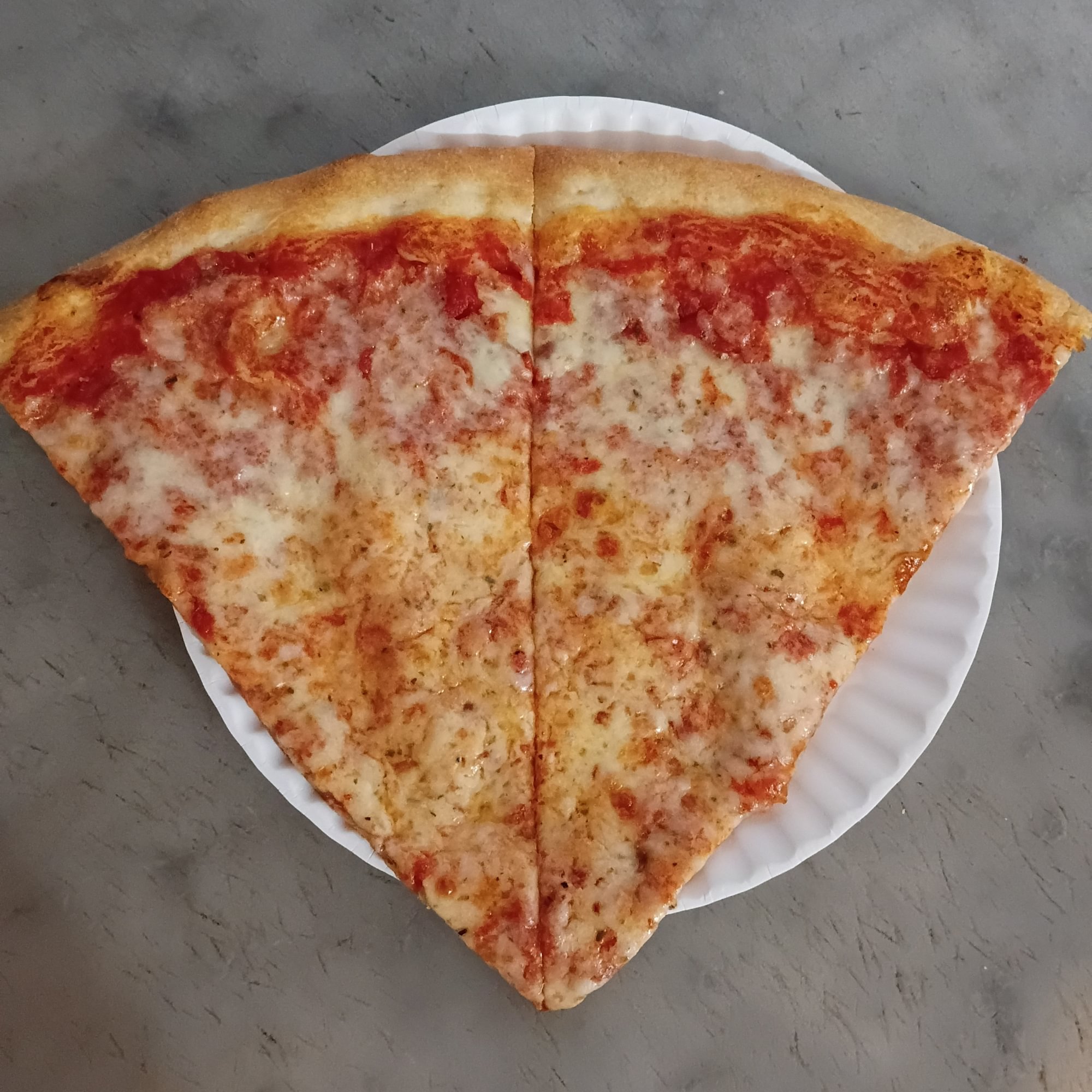 2 Plain Pizza Slices w/ 1 Bottle Water