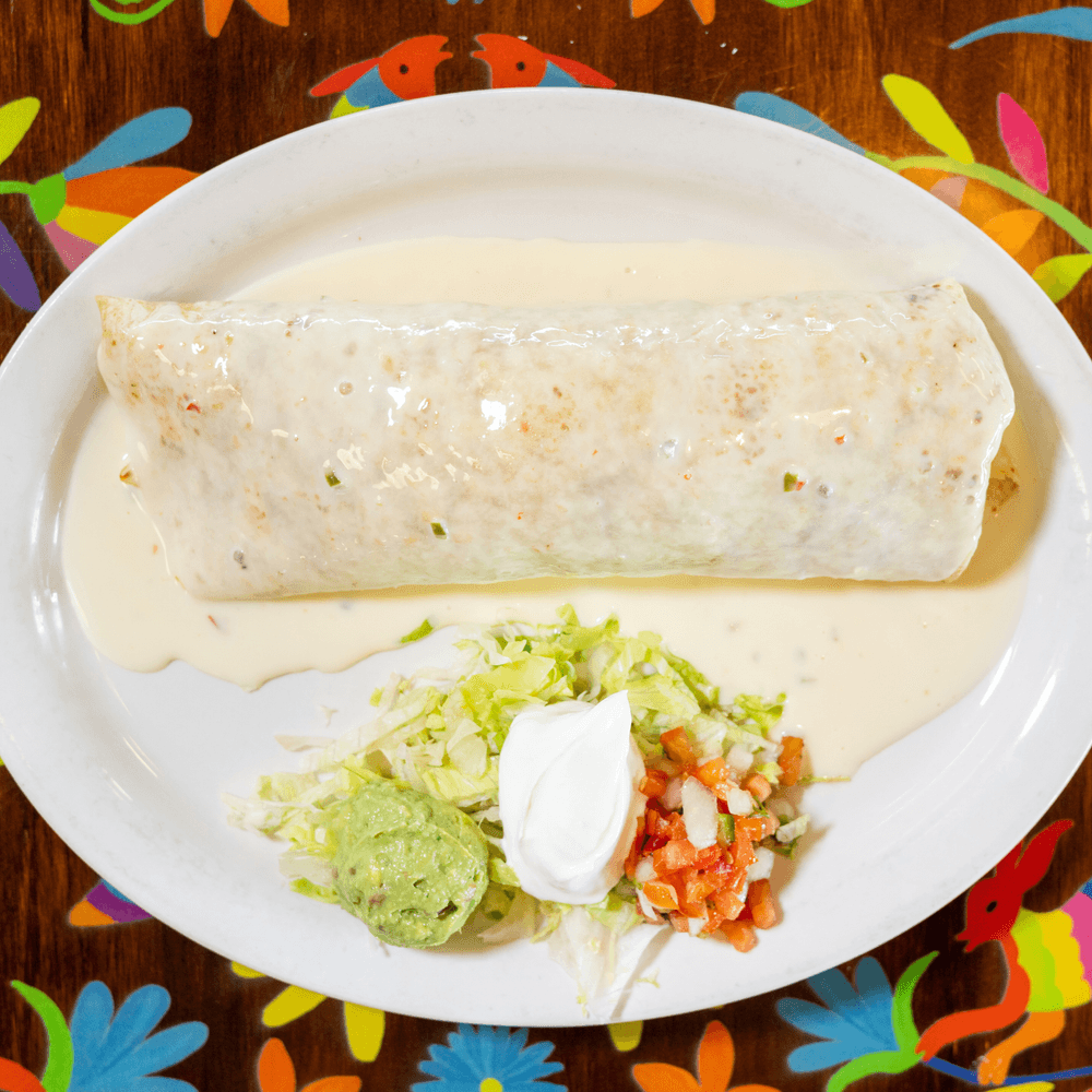 Birria Burrito