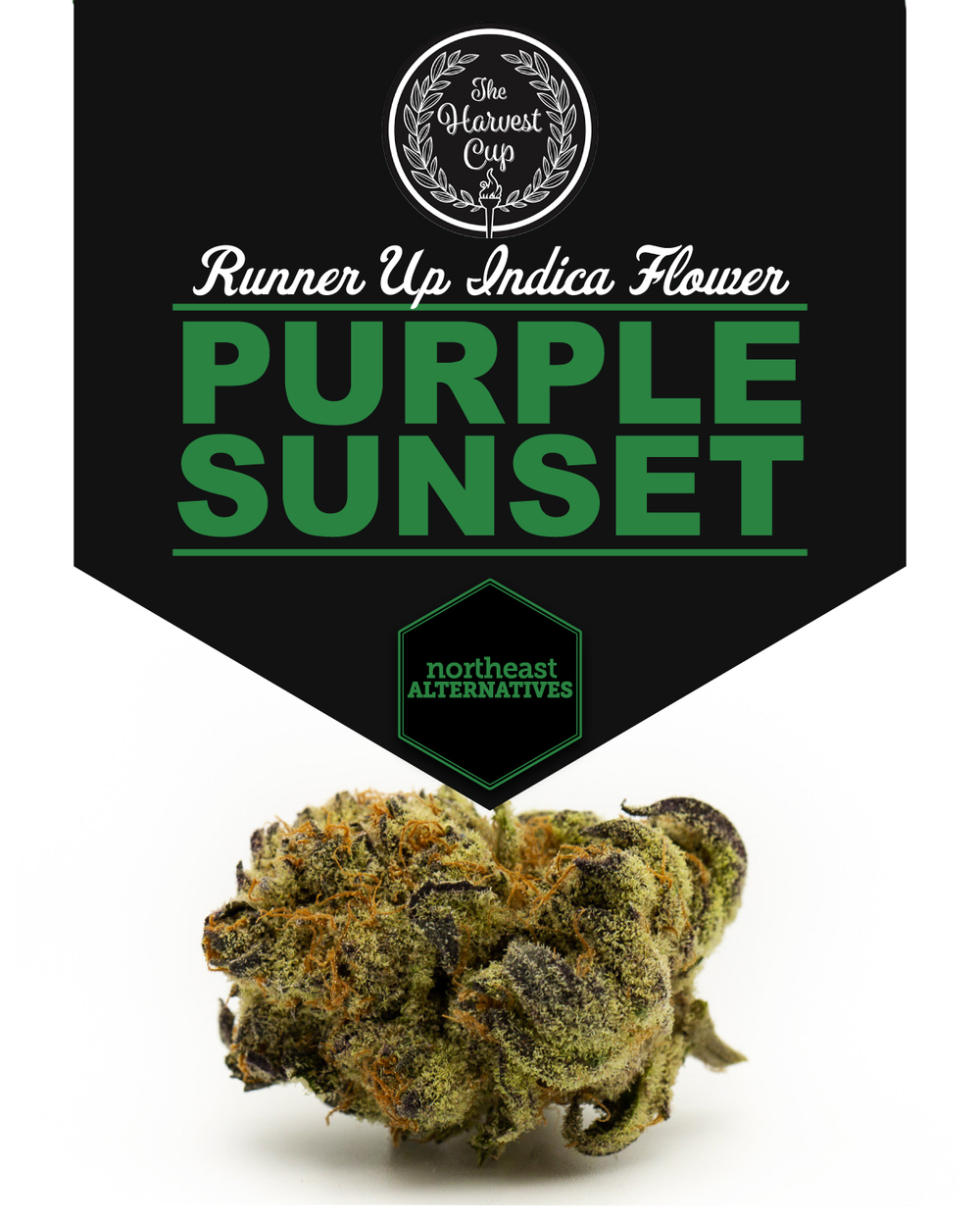 Northeast Alternatives Dispensary - Fall River Image