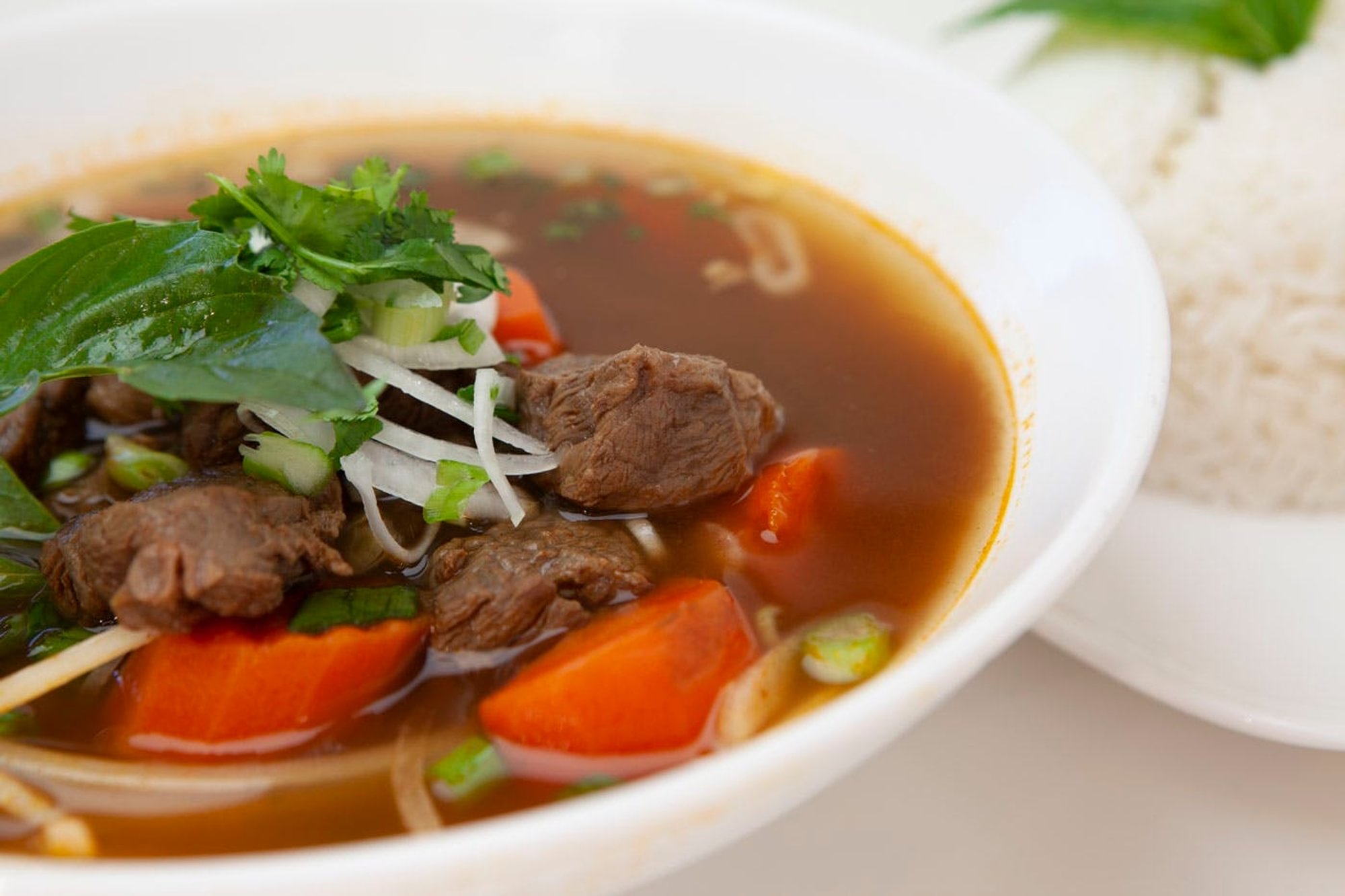Vietnamese Beef Stew
