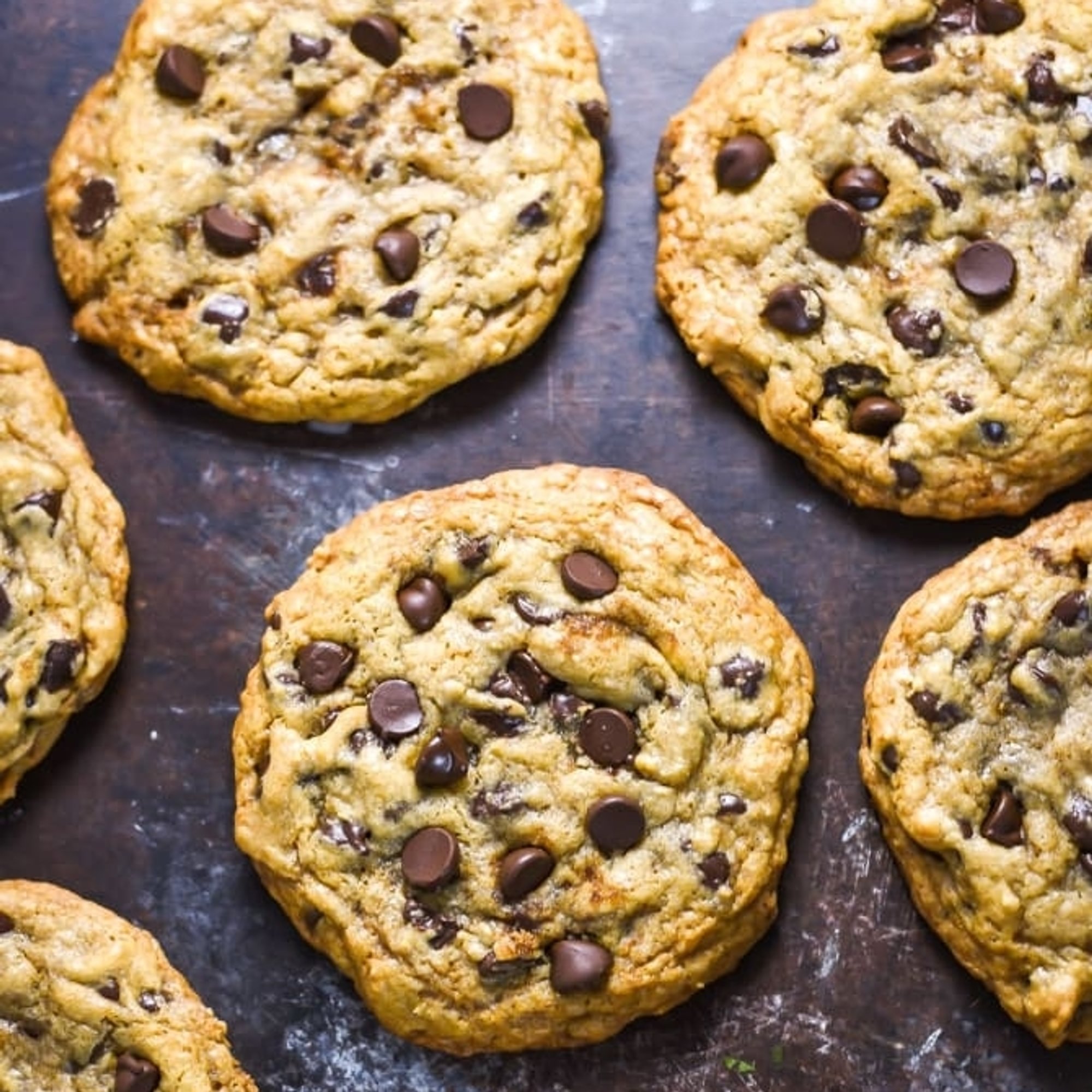 Chocolate Chip Cookie