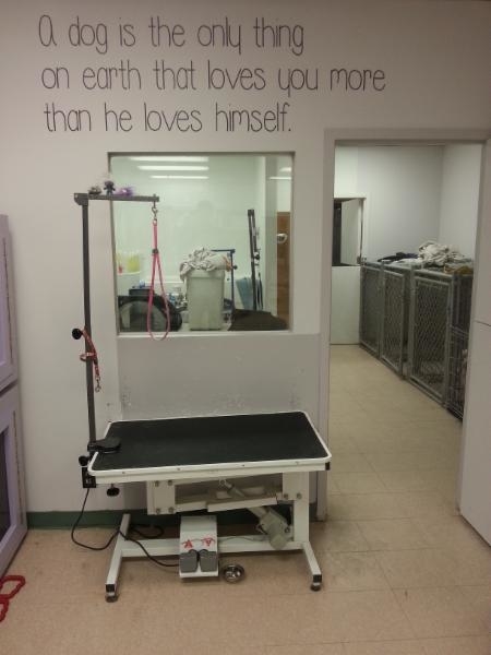 Images 4 Paws Grooming