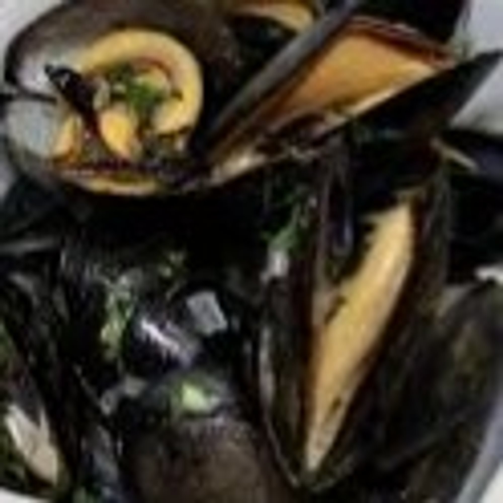 Mussels Steamed