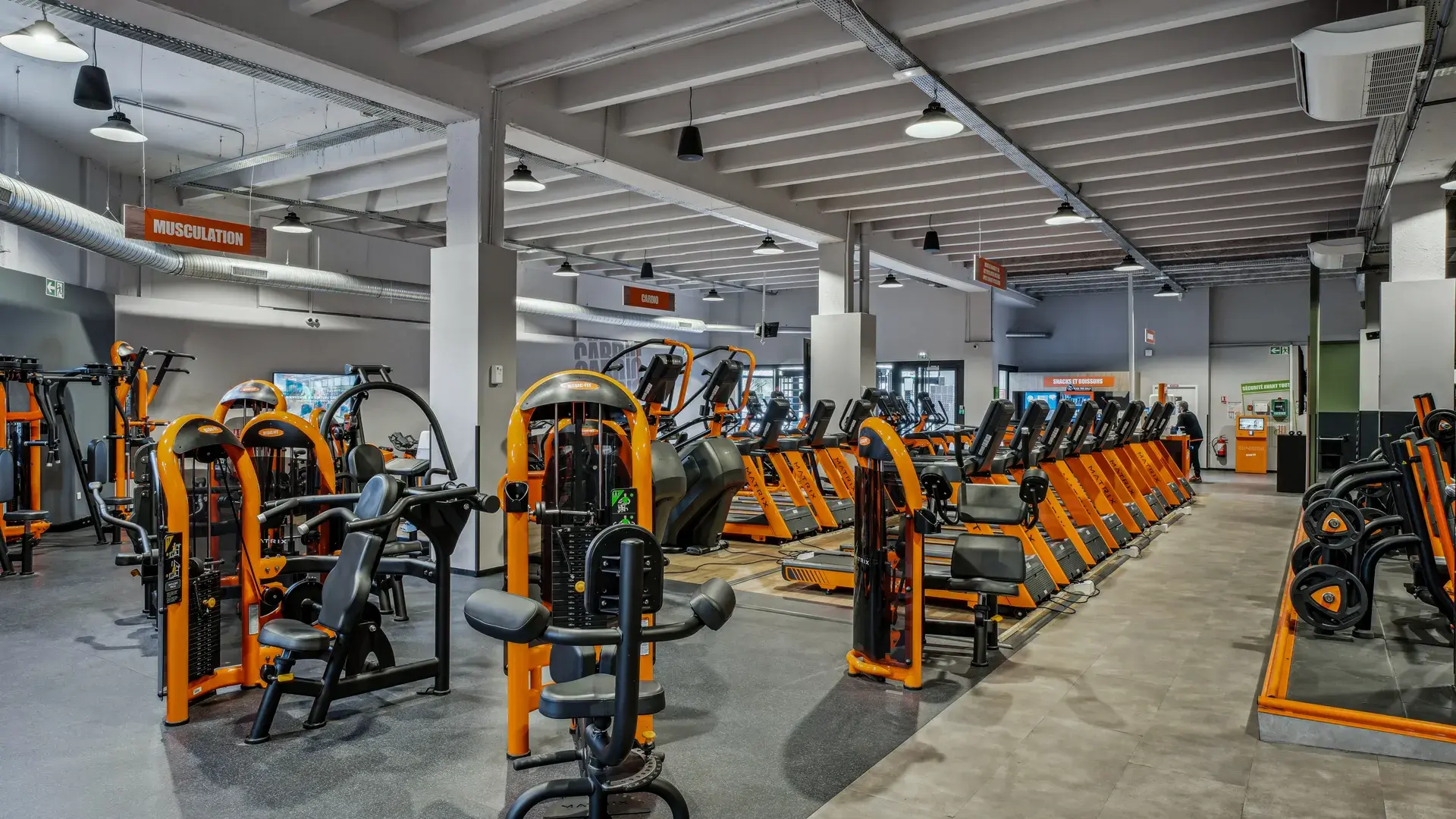 Miniature de la galerie