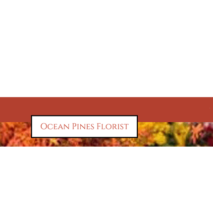 Ocean Pines Florist Logo