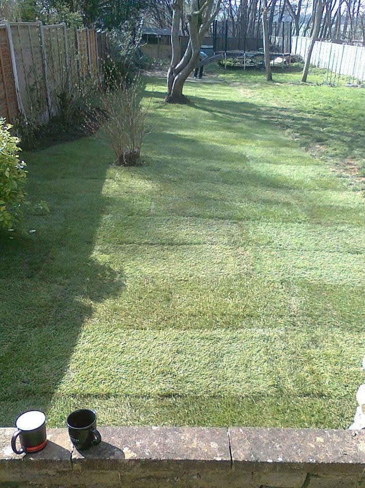 Images Tree & Garden Services