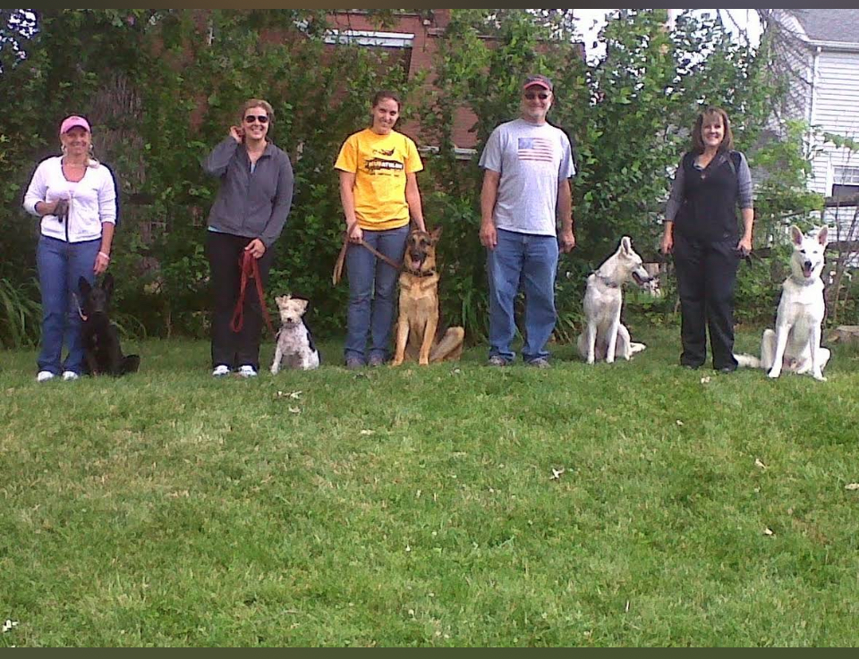 Underdog K-9 Academy LLC Image