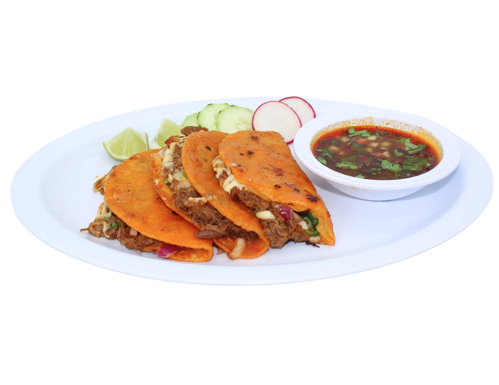 QUESA-BIRRIA (3)