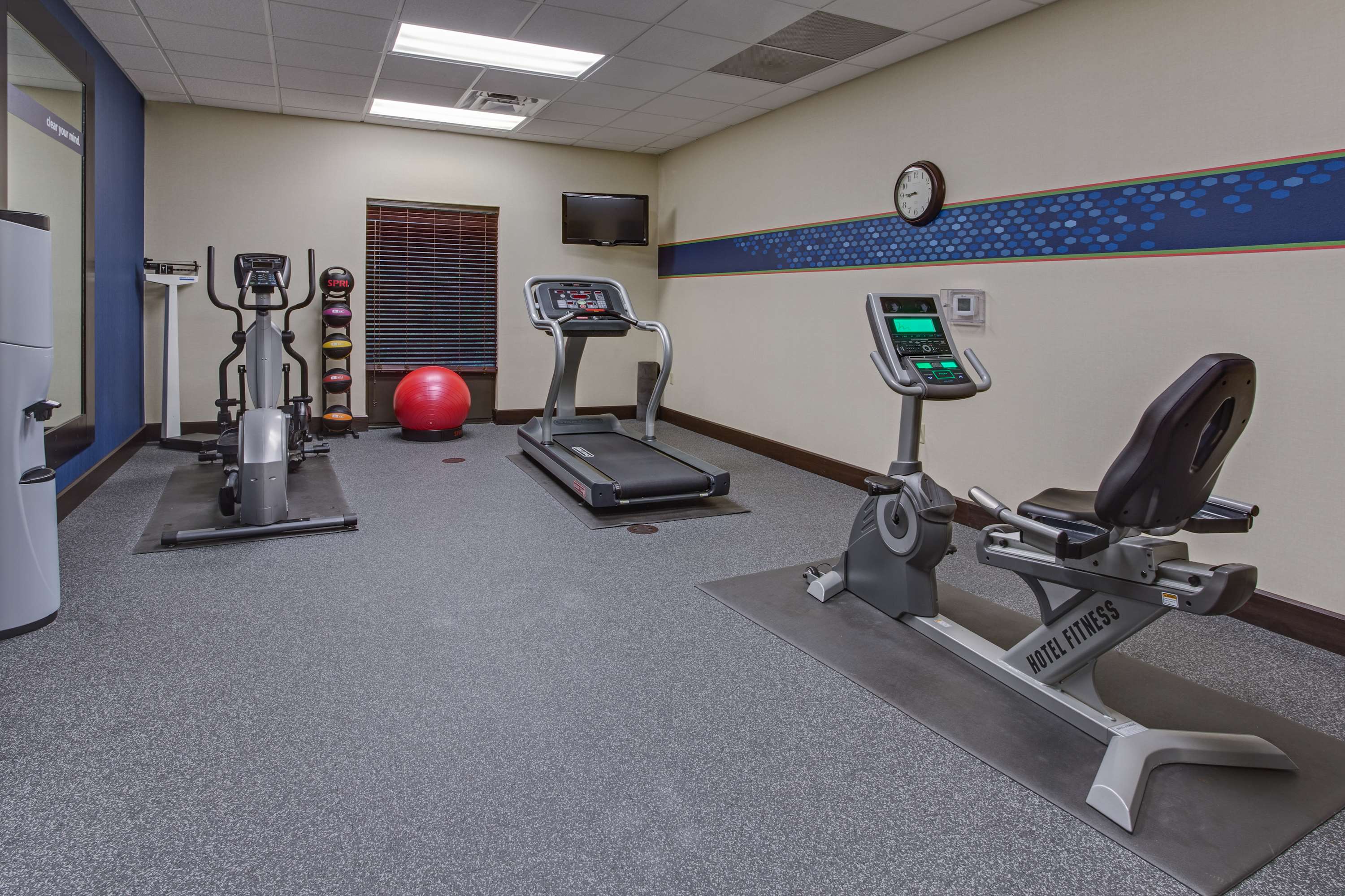 Health club  fitness center  gym