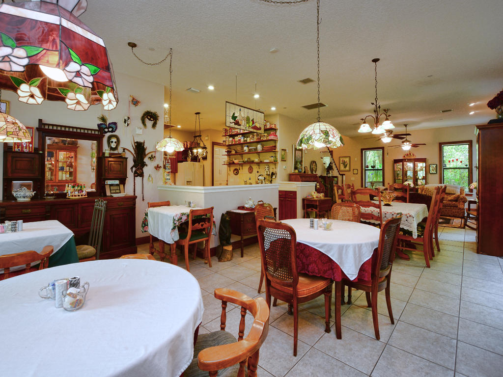 Mount dora pizza coupons
