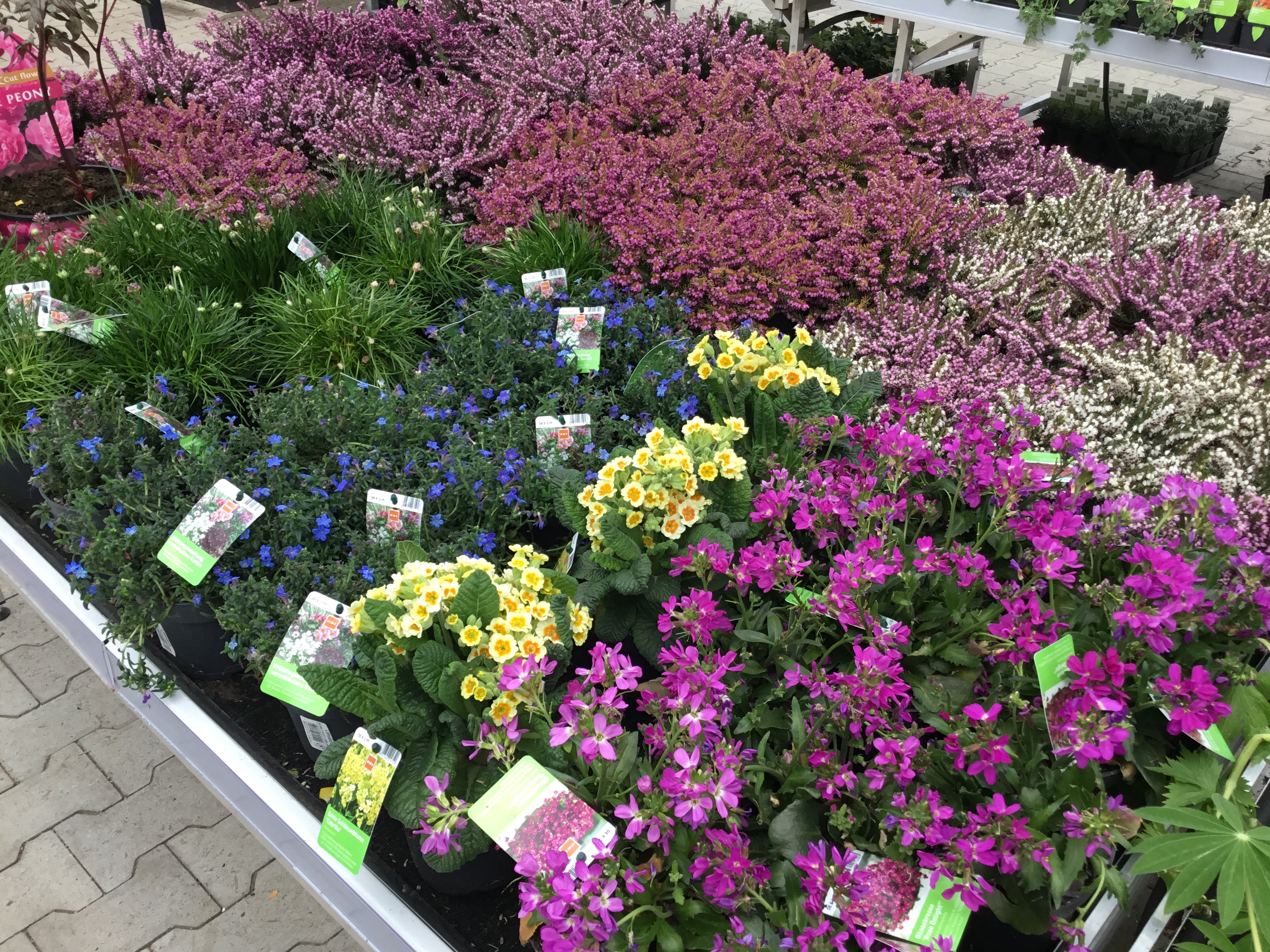 Bilder OBI Markt Freiburg Süd