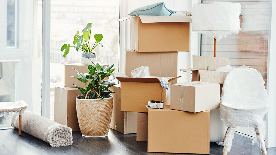 Moving boxes and supplies with plants and house items being packed