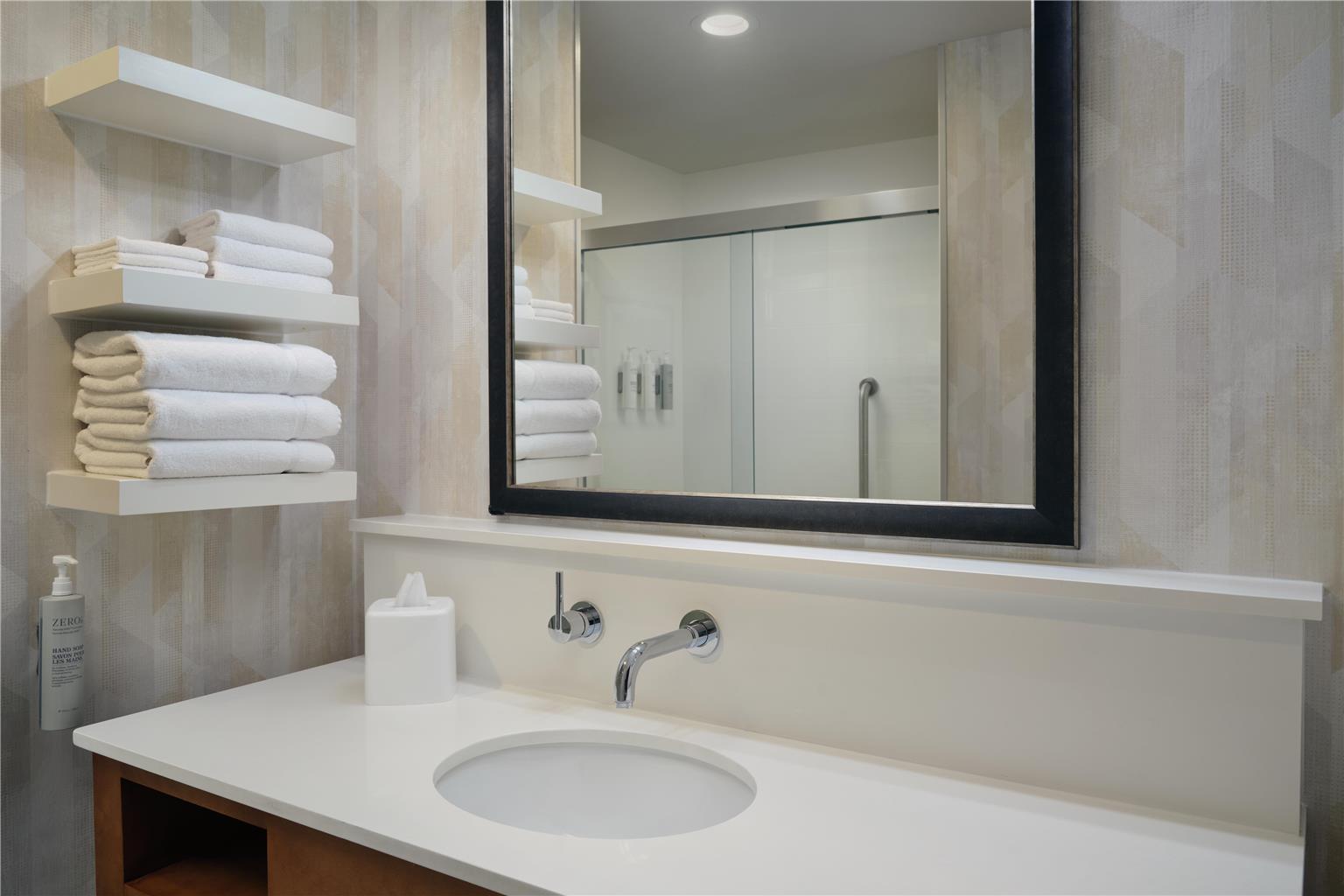 Hampton Inn Waynesboro Image