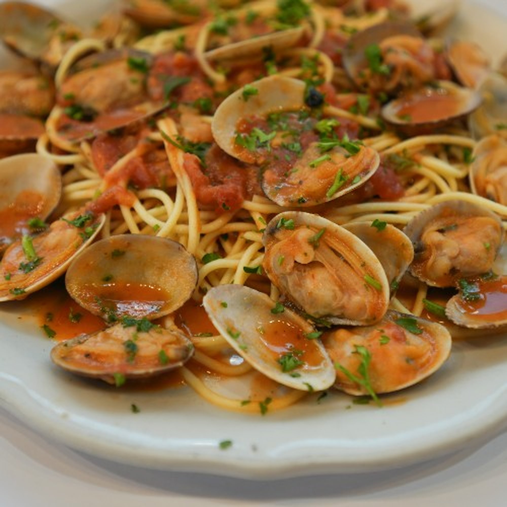 Spaghetti with Clams (Red or White)