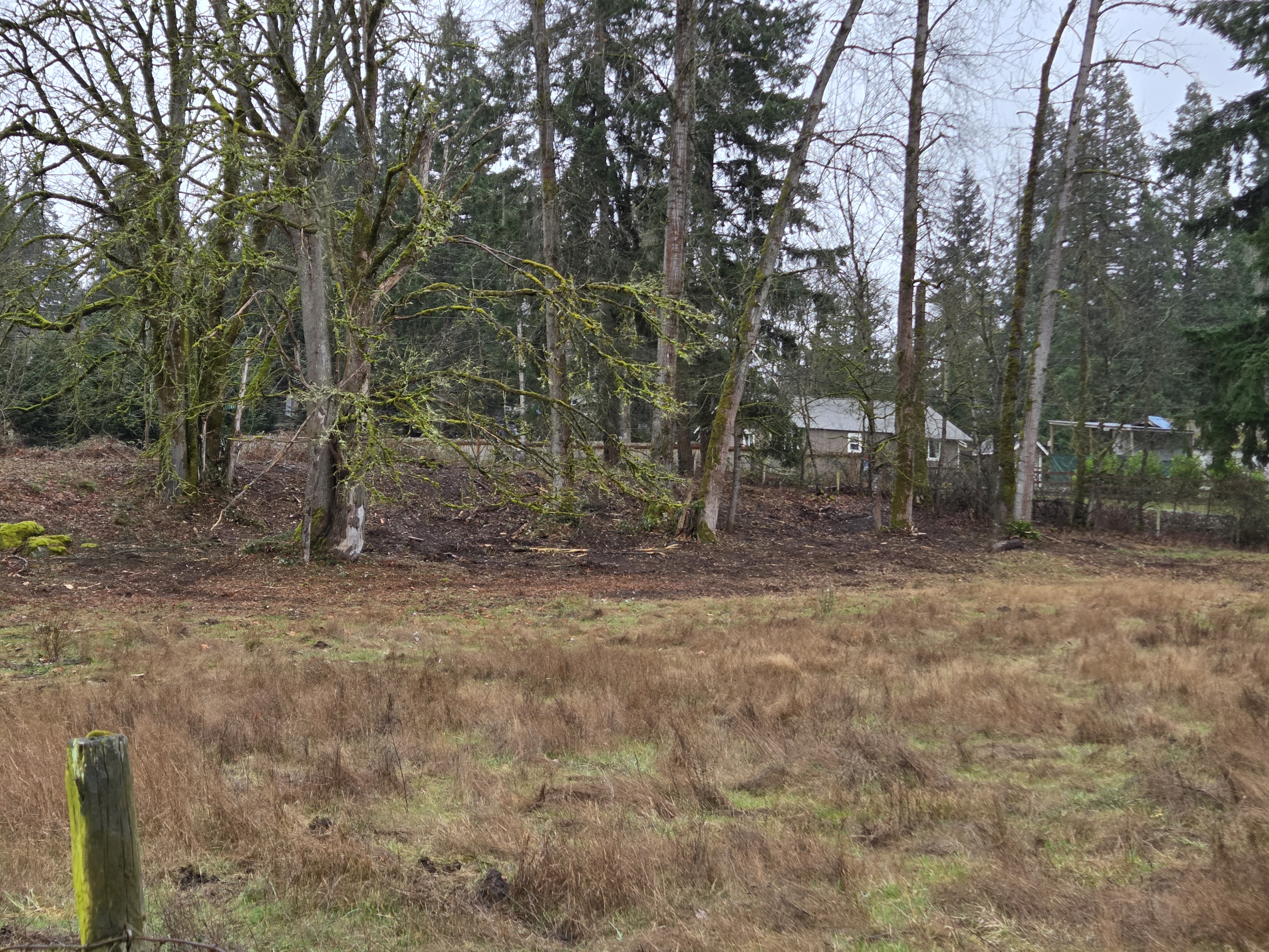 Land Clearing