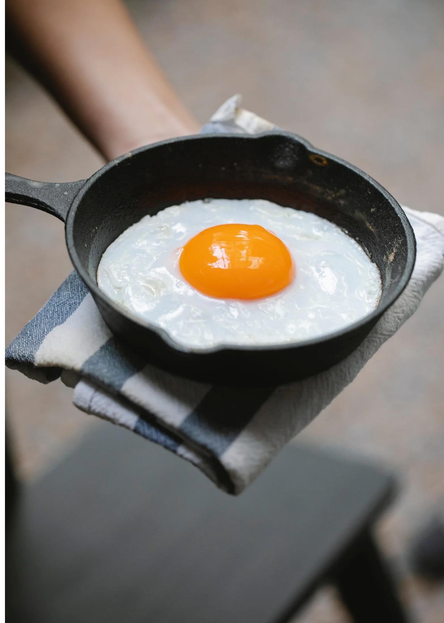 One Egg