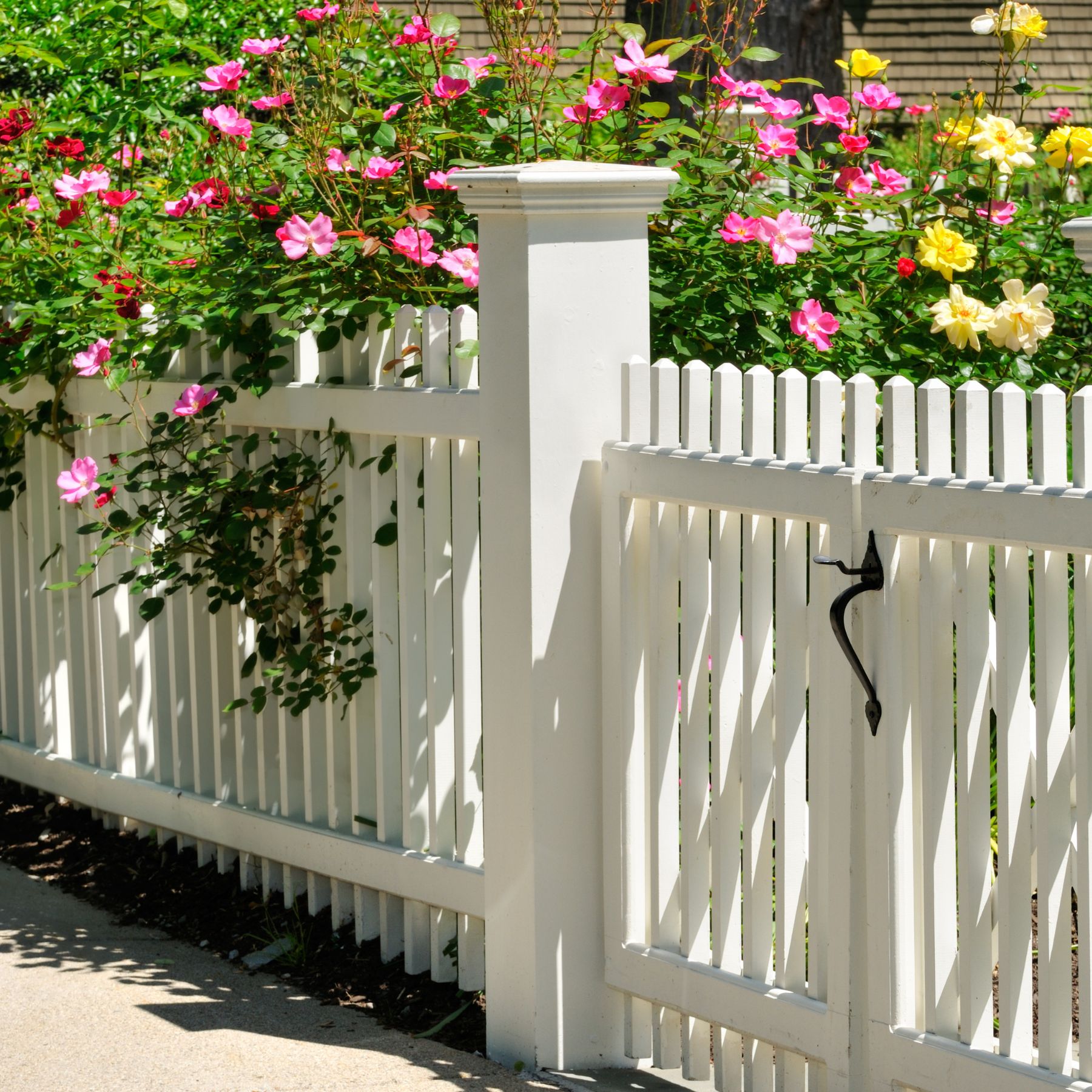 Top Rail Fence Knoxville Image