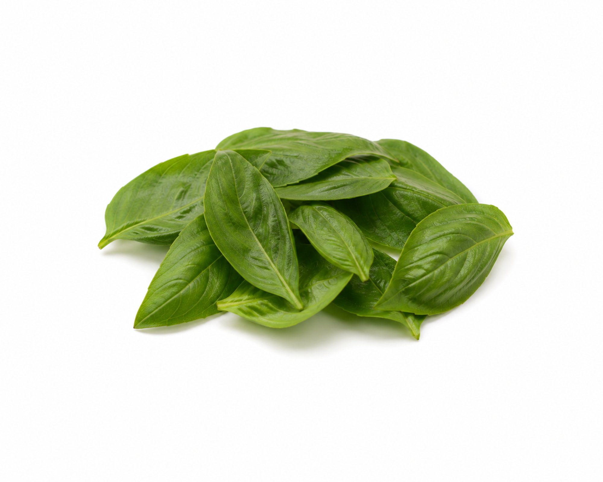 Side Thai Basil 2oz