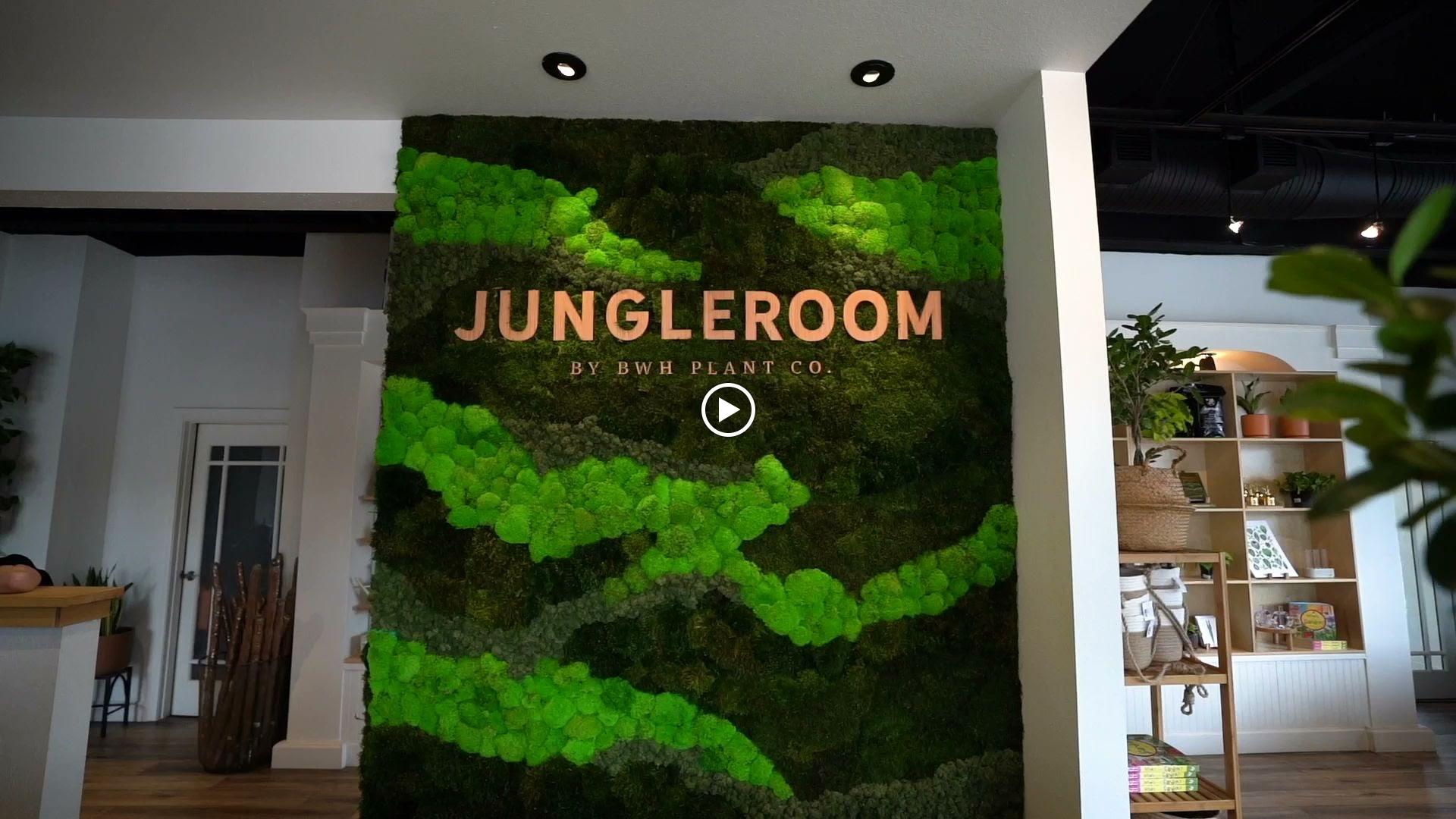 Jungle Room by BWH Plant Co Image