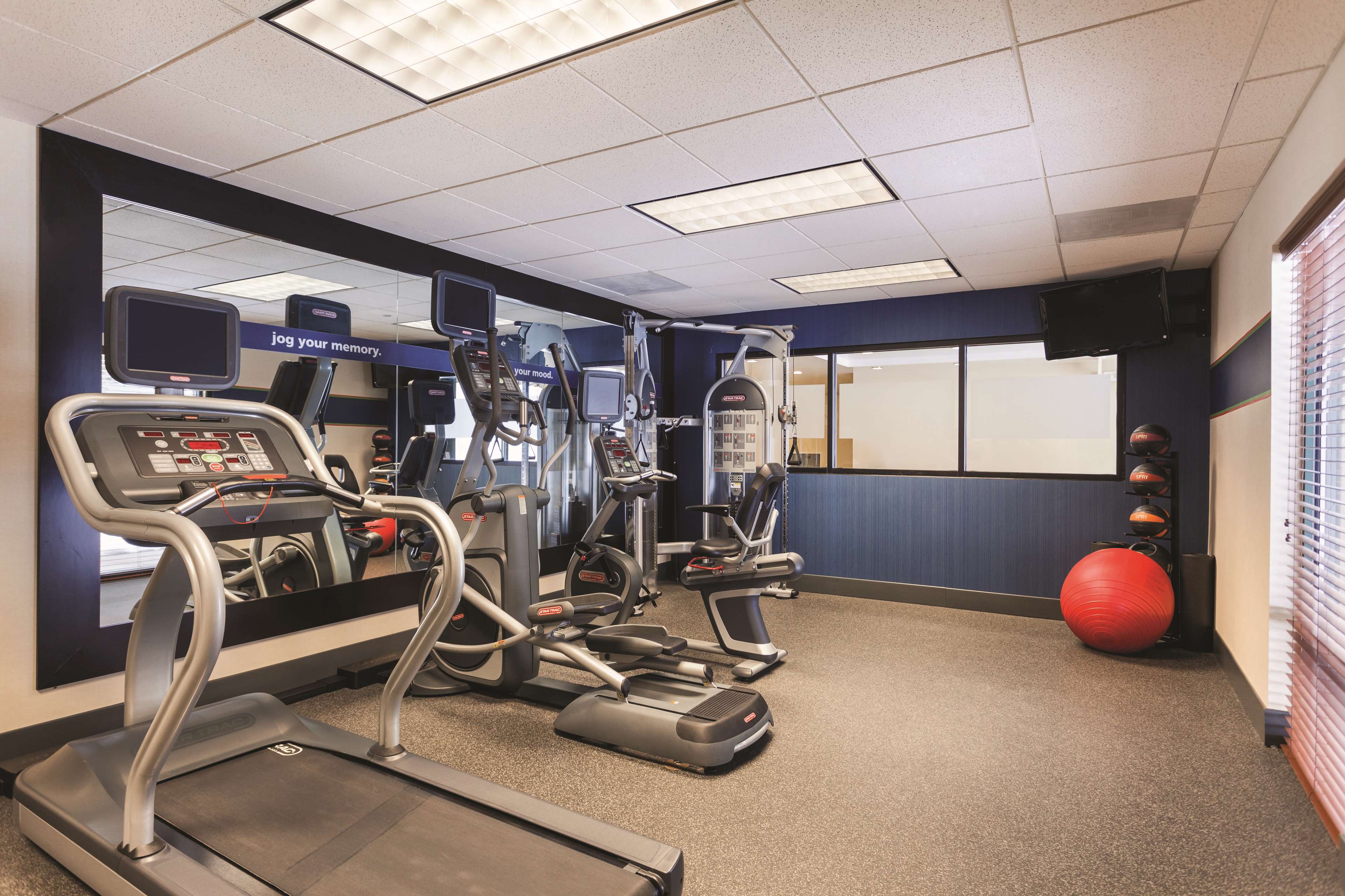 Health club  fitness center  gym