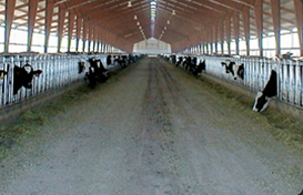 Agricultural Structures