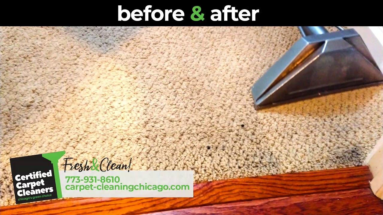 Carpet Cleaning Chicago Photo