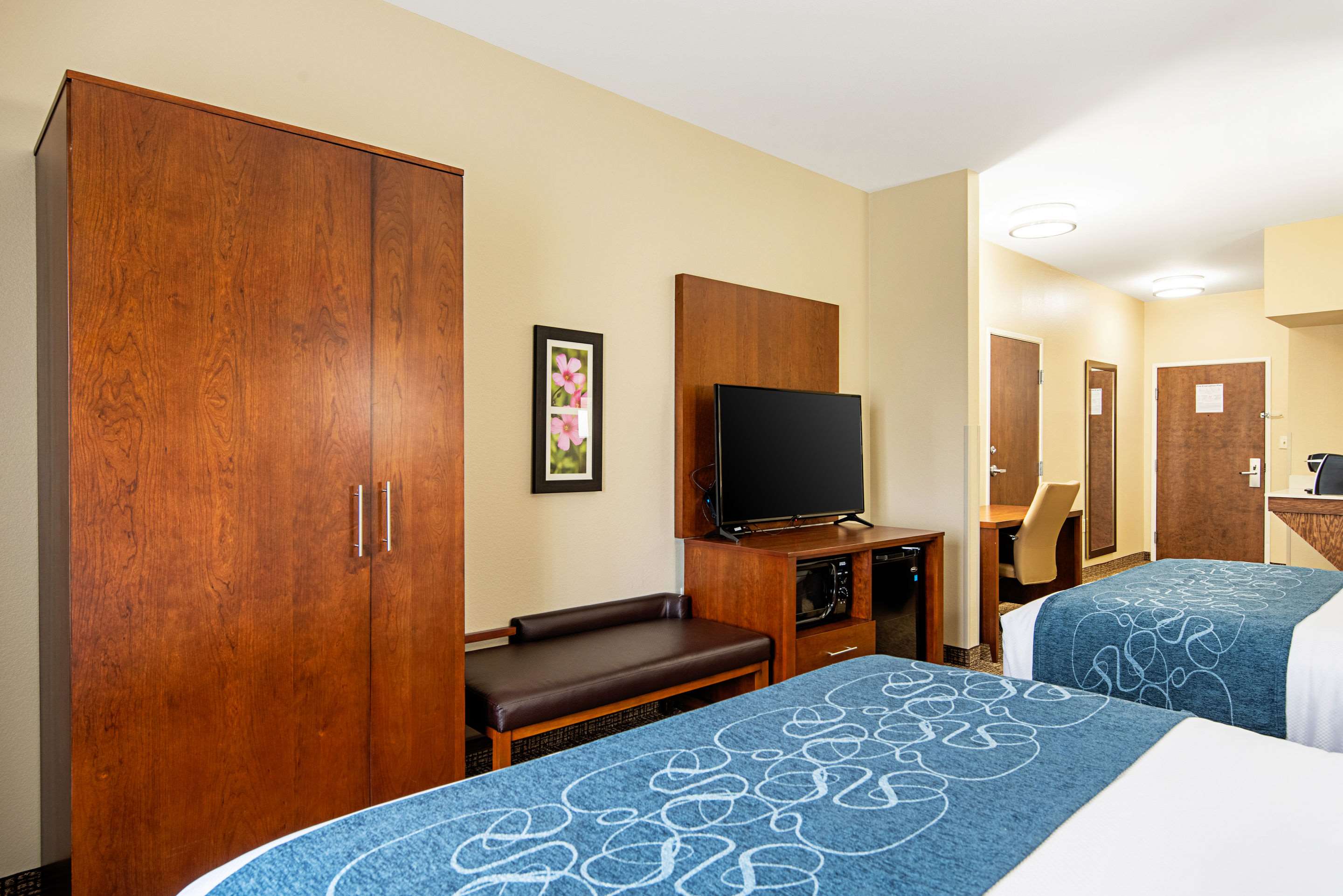 Comfort Inn & Suites Photo