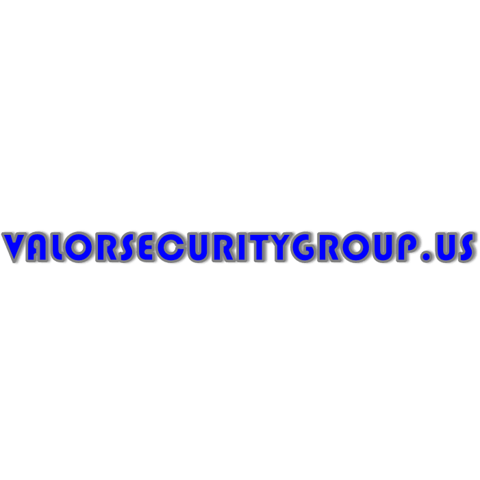 Valor Security Group Logo