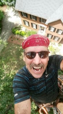 Always Something Trees To Go Logo