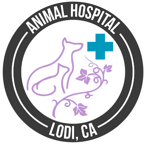 Lodi Animal Hospital