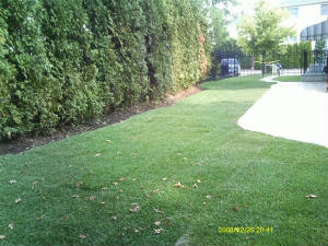Rocco's Landscaping And Concrete Service LLC Photo